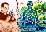 <h3>Arbeitsblatt: Ein Gen – ein Merkmal? Nachdenken und Weiterdenken über Alltags- und Fachvorstellungen </h3>
<span> Es geht darum, Alltagsvorstellungen zur Genetik zu reflektieren, um die Fachvorstellungen zu verstehen</span>
