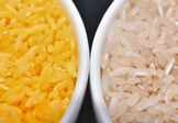 <h3>Arbeitsblatt: „Goldener“ Reis – Vitamin A durch Gentechnik? Argumentationsstrategien kennenlernen </h3>
<span> Die Schüler*innen setzten sich mit den Argumentationen um den "goldenen" Reis auseinander und erarbeiten sich eine eigene Position</span>